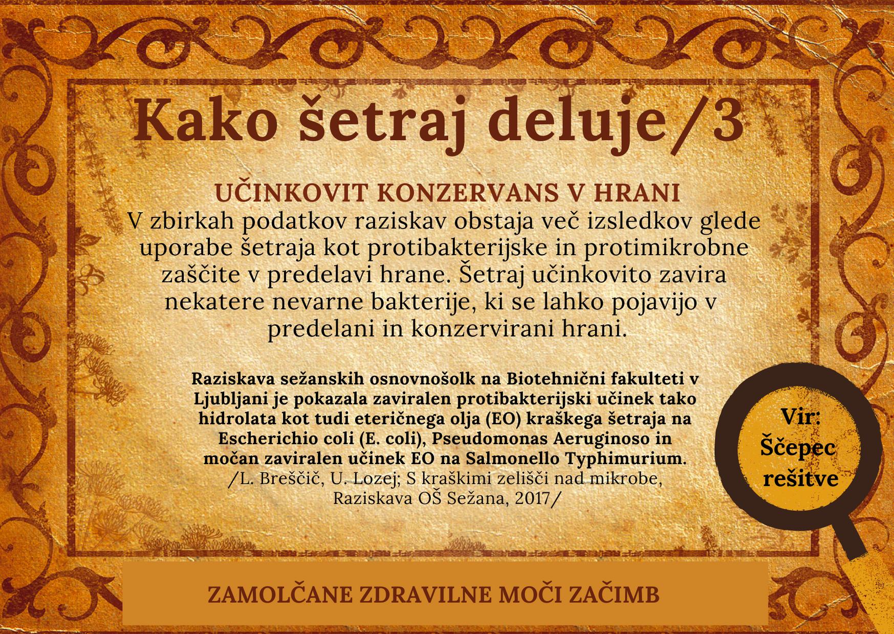 setraj 3